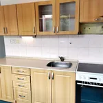 Rent 1 bedroom apartment of 36 m² in Písek