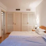 Rent 1 bedroom apartment in madrid