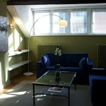 Rent 1 bedroom apartment of 969 m² in Brussels