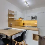 Pronajměte si 2 ložnic/e byt o rozloze 58 m² v Praha