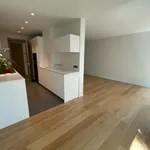 Rent 3 bedroom apartment of 112 m² in Madrid