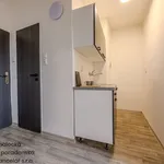 Rent 2 bedroom apartment of 30 m² in Hodonín