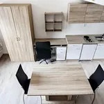 Rent 1 bedroom apartment of 20 m² in Brno