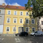 Rent 1 bedroom apartment of 30 m² in Prague