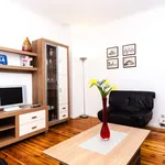 Rent 1 bedroom apartment in berlin