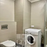 Rent 1 bedroom apartment in Praha 5