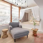 Rent 1 bedroom apartment of 38 m² in Prague