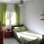 Alquilo 2 dormitorio apartamento de 60 m² en Cadiz']