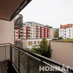 Rent 1 bedroom apartment in Capital City of Prague