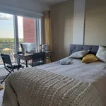  appartement avec 1 chambre(s) en location à Laval (administrative region)