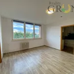 Rent 2 bedroom apartment in Frýdek - Místek