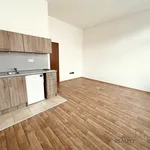 Rent 1 bedroom apartment in Olomouc