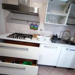 Rent 2 bedroom apartment of 55 m² in Padova