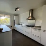 Rent 4 bedroom apartment of 112 m² in Eindhoven