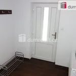 Rent 1 bedroom apartment of 45 m² in Břeclav