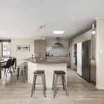 Rent 4 bedroom house in Tauranga