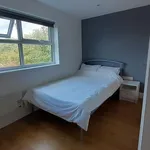 Rent a room in East Of England