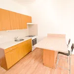 Rent 2 bedroom apartment of 45 m² in Praha