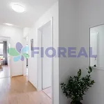 Rent 1 bedroom apartment of 95 m² in Prague