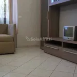 Rent 2 bedroom apartment of 45 m² in Torino