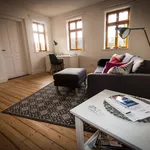 Rent 1 bedroom apartment of 50 m² in Wiesbaden