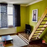 Rent 1 bedroom apartment of 149 m² in Prague