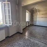 Rent 8 bedroom apartment of 140 m² in Genova