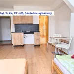 Rent 1 bedroom apartment in Pilsen