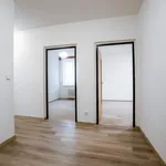 Rent 3 bedroom apartment of 67 m² in Netvořice