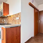 Rent 1 bedroom apartment in Chomutov