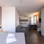 Rent 2 bedroom apartment of 50 m² in Venezia