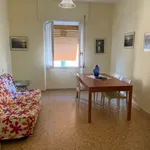 Rent 2 bedroom student apartment of 65 m² in Roma