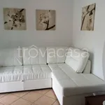 Rent 3 bedroom apartment of 63 m² in Riccione