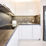 Rent 3 bedroom apartment in Brno