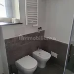 Rent 1 bedroom apartment of 25 m² in Turin