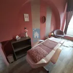 Rent 5 bedroom apartment in Pilsen