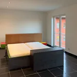 Huur 1 slaapkamer appartement in Lauwe