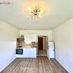 Rent 1 bedroom apartment in Chroboly