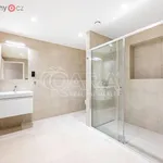 Pronajměte si 1 ložnic/e byt o rozloze 65 m² v Trhový Štěpánov