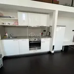 Rent 1 bedroom apartment of 43 m² in Prague