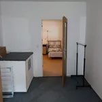 Rent 1 bedroom apartment of 100 m² in Brno