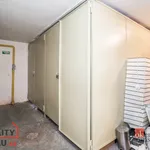 Rent 1 bedroom apartment in Hradec Králové