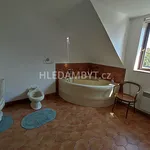 Rent 1 bedroom apartment of 47 m² in Capital City of Prague