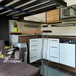 Rent 1 bedroom apartment of 59 m² in Pilsen