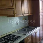 Rent 2 bedroom apartment of 45 m² in Vercelli