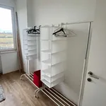 Rent a room in brussels